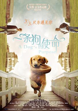 久久亚洲最大成人网4438